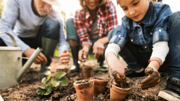 Chores That are Safe for Seniors to Help Keep Them Active